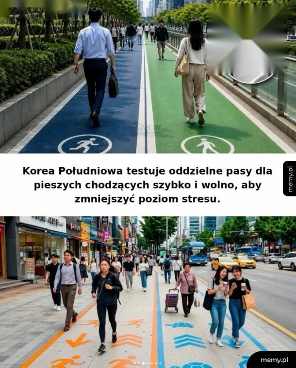 Dwa różne pasy dla pieszych na chodniku, jeden dla szybkiego ruchu, drugi dla wolnego.