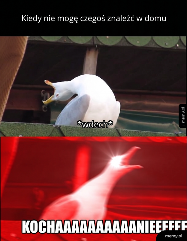 Ptak z otwartym dziobem na tle ciemnego tła.