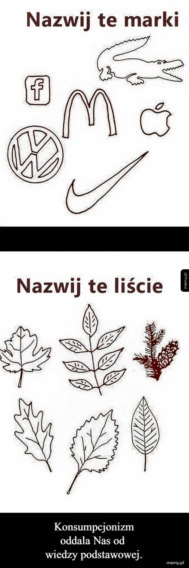 Rysunki logo znanych marek i liści różnych drzew.