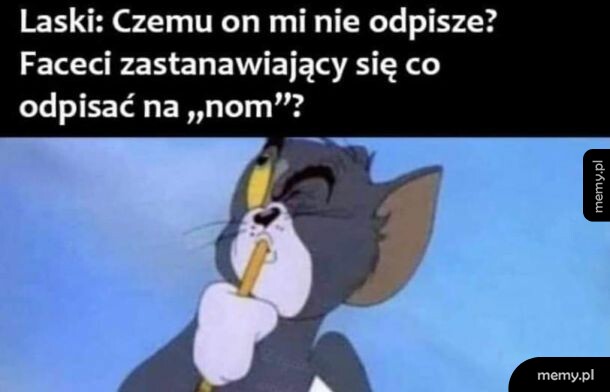 Kot myślący z ołówkiem w ustach, z wyrazem zamyślenia.