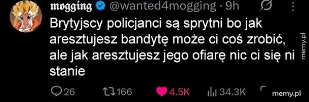 Brytyjscy policjanci