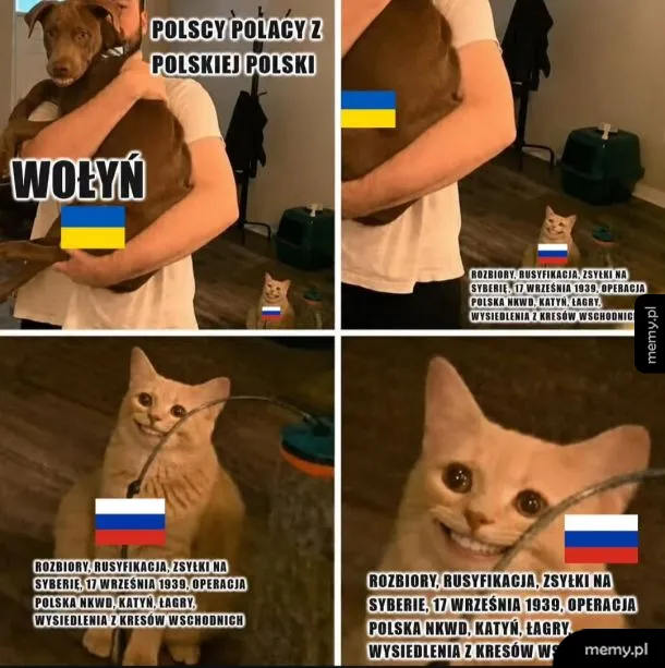 Kolaż z kotem i osobą trzymającą psa, z tekstami o historii Polski i Ukrainy.