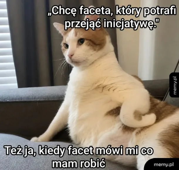 Hola hola