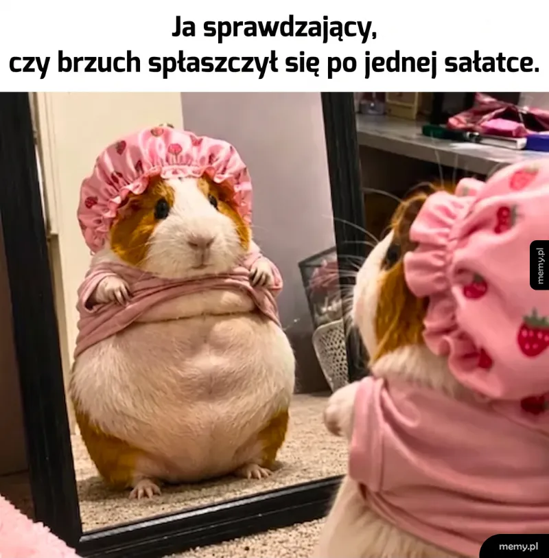 Ja po jednej sałatce