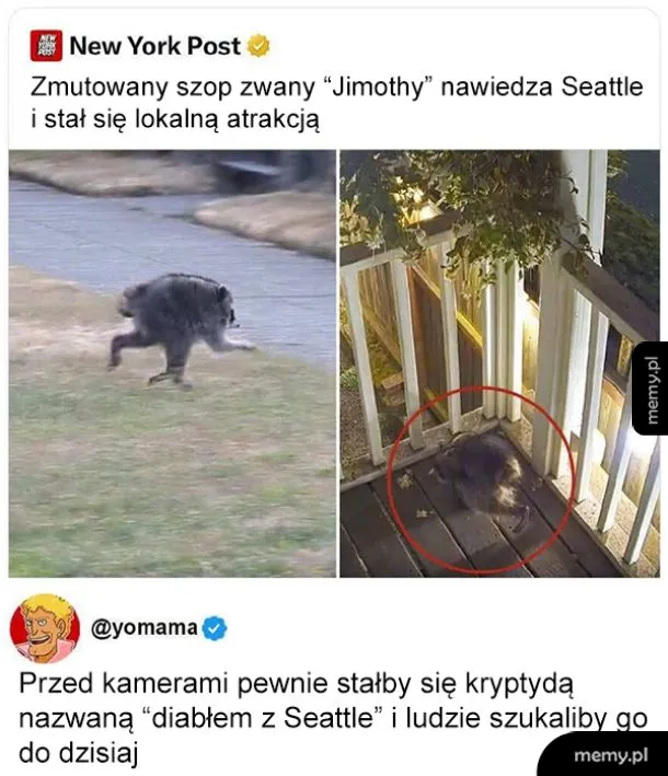 Diabeł