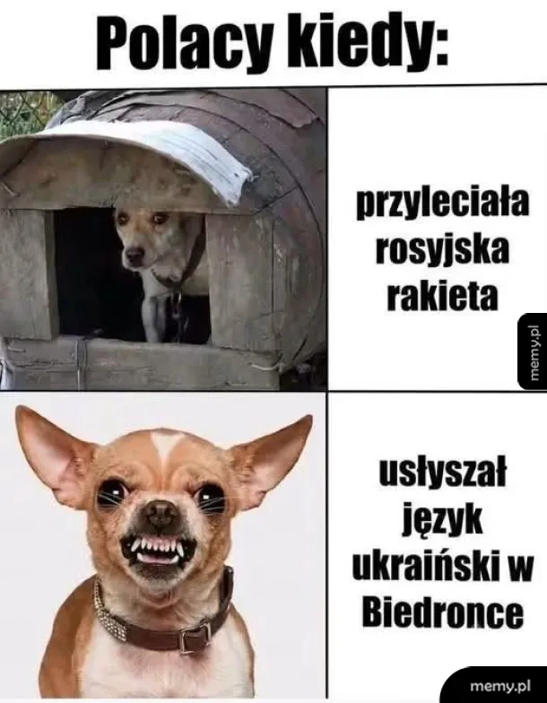 Prawda o pseudo patriotach