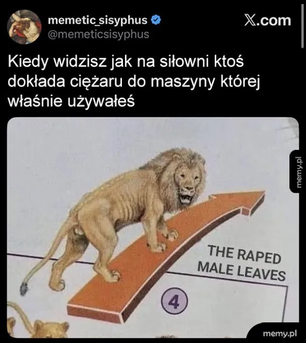 Auć