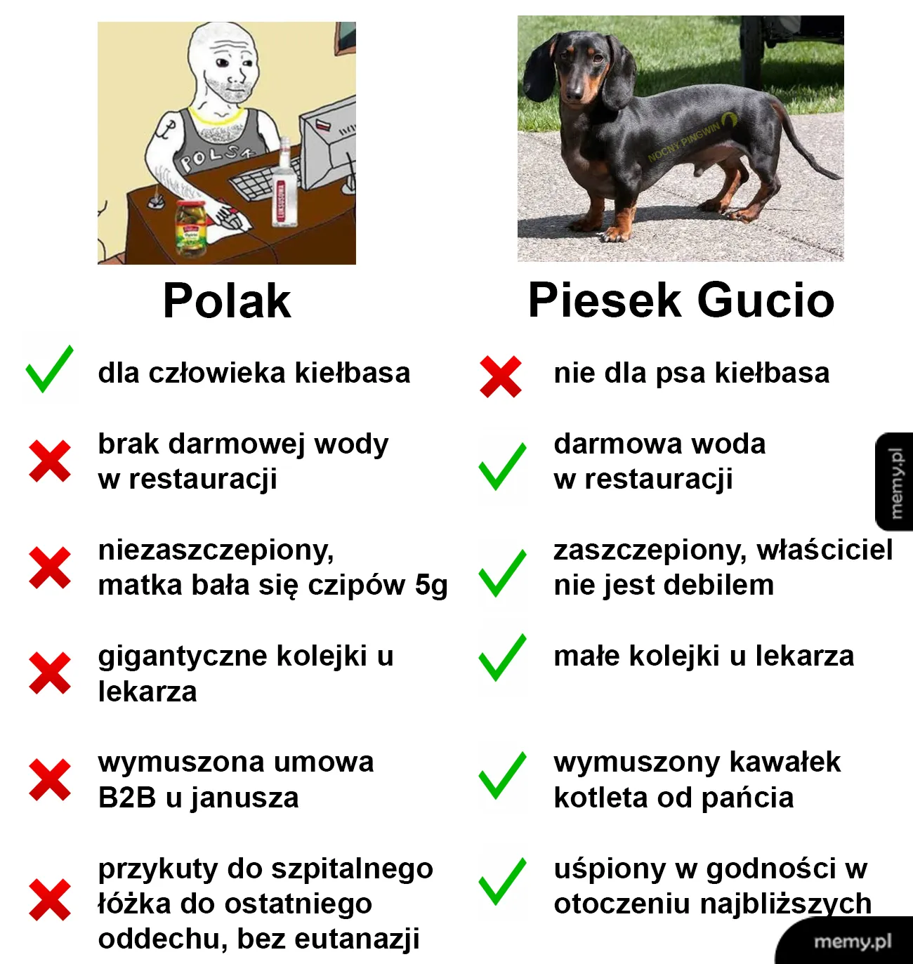 Mężczyzna z kartką i pies rasy jamnik z listą cech.