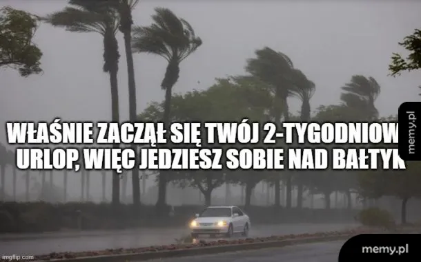 Samochód jedzie w deszczowej pogodzie z silnym wiatrem i drzewami w tle.
