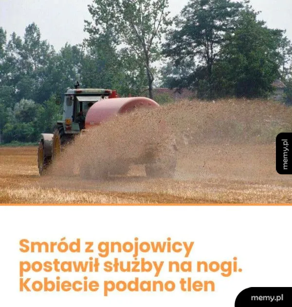 Kiedy miastowa przyjedzie na wieś