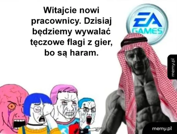 Grupa ludzi reagujących na ogłoszenie o usunięciu tęczowych flag z gier.