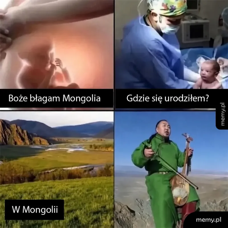 Kiedy jeszcze przed narodzinami wiesz, gdzie chcesz żyć 😂
