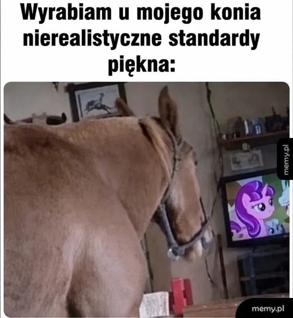Mój koń jest wspaniały 🐎
