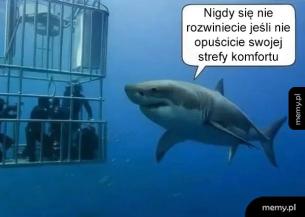 Rekin pływający obok klatki z nurkami pod wodą