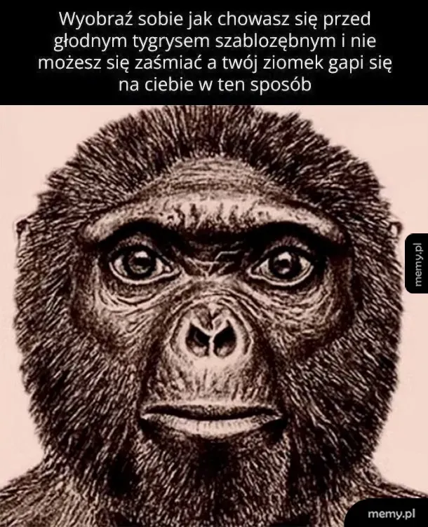 Rysunek twarzy małpy z szeroko otwartymi oczami.