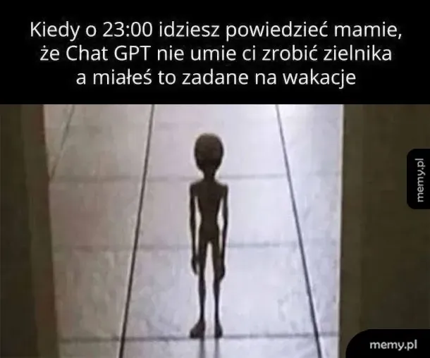 Mem z kosmitą stojącym w korytarzu i podpisem o zielniku na wakacje.
