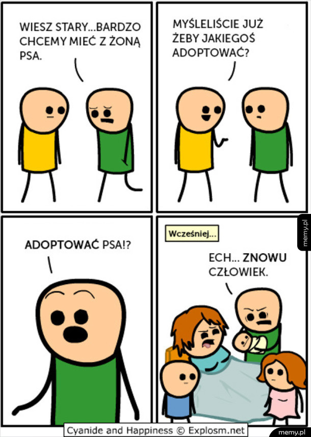 Adopcja psa