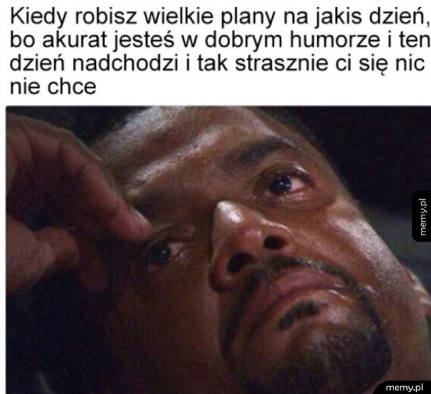 Plany są ulotne