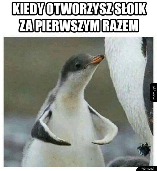 Jestem siłaczem