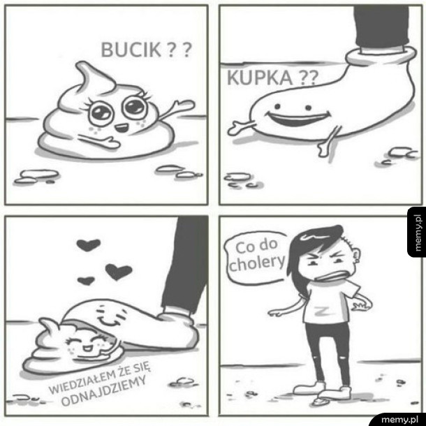 Przeznaczenie