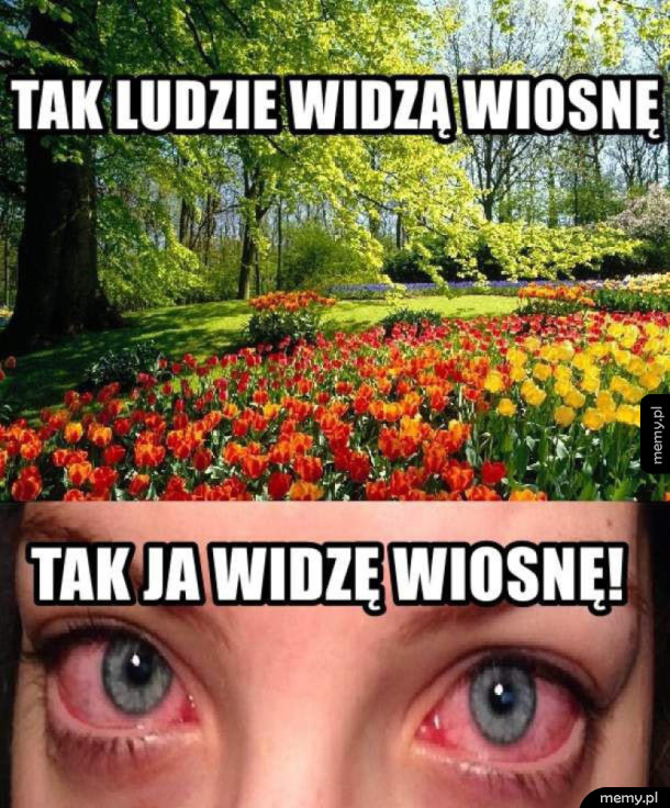 Kochana wiosna