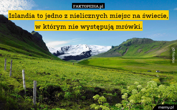 Islandia