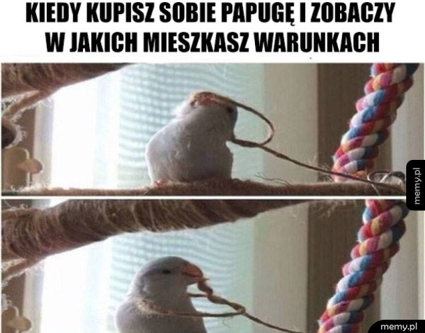 Krótki był jej żywot