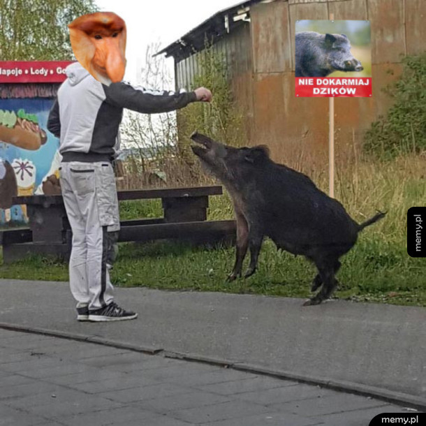 Zasady są po to żeby je łamać