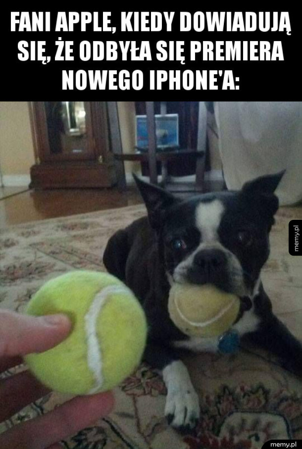 I tak co roku