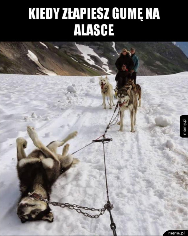 Alaska