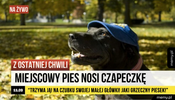 Łamiąca wiadomość