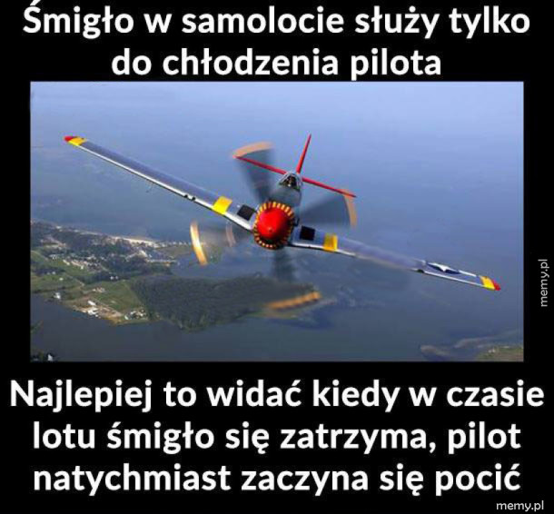 Śmigło w samolocie