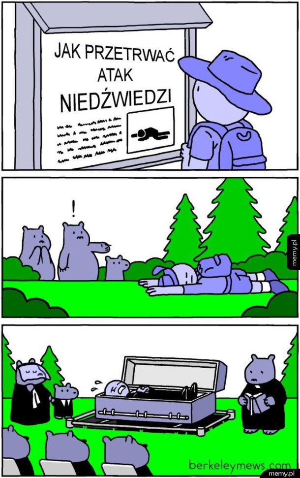 Atak niedźwiedzia
