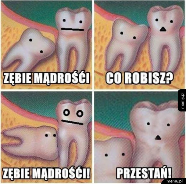 Typowy ząb "mądrości"