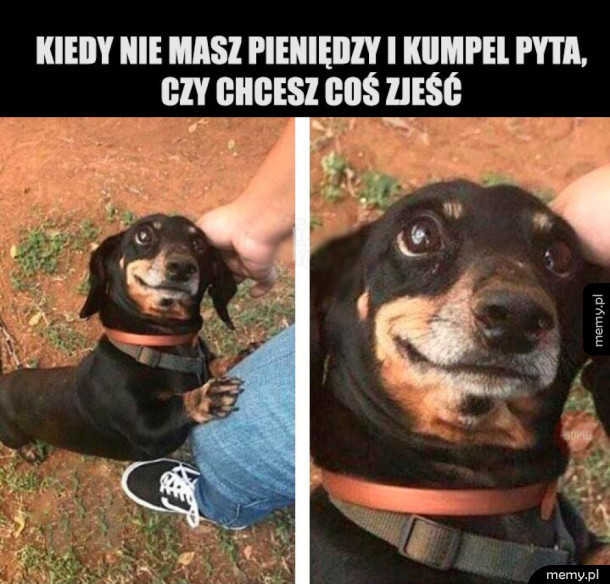 Najlepiej