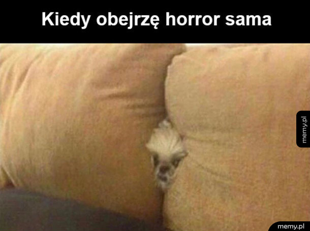 Przypał