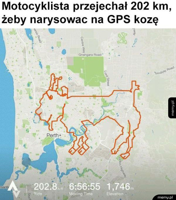 Koza