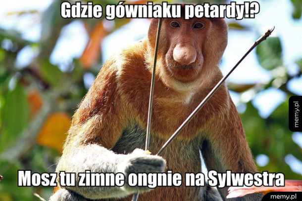 Synek po co petardy