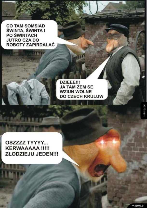 Osz Ty złodzieju kurła