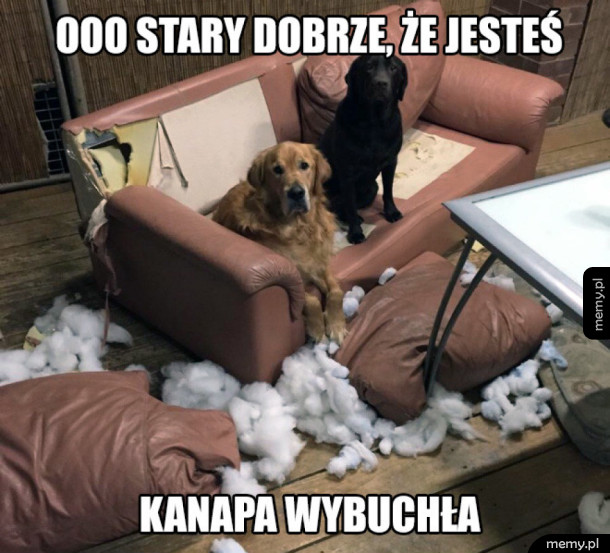 Nie uwierzysz