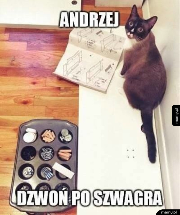 Trzeba zadzwonić