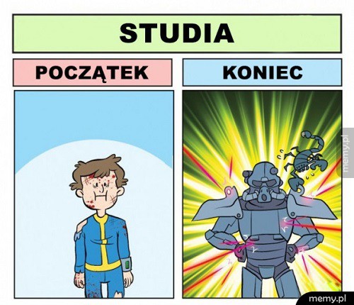 Studia