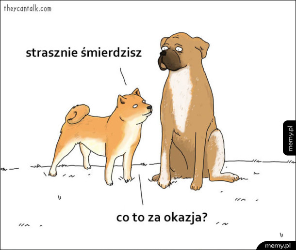 Pieskie życie