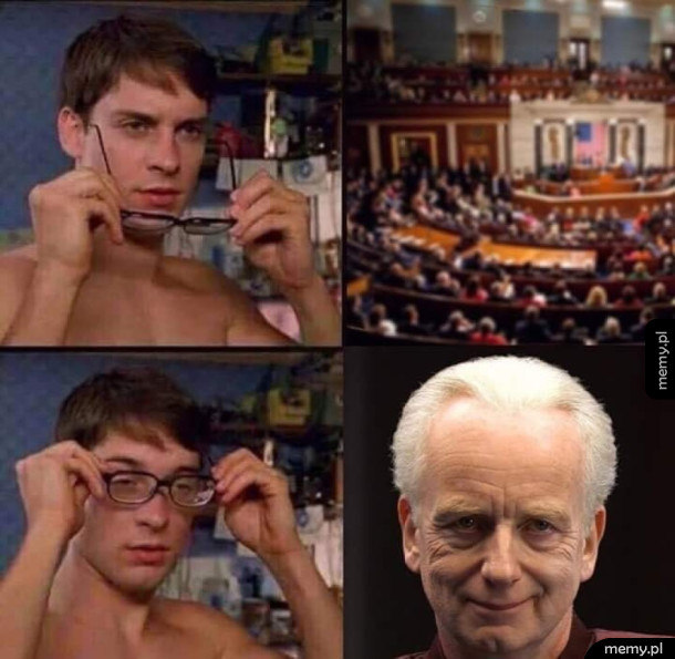 Kocham demokrację