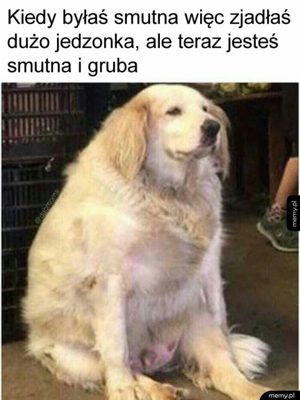 Najgorsze uczucie