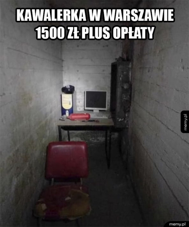 Ogłoszenia takie są