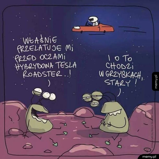 Kosmici
