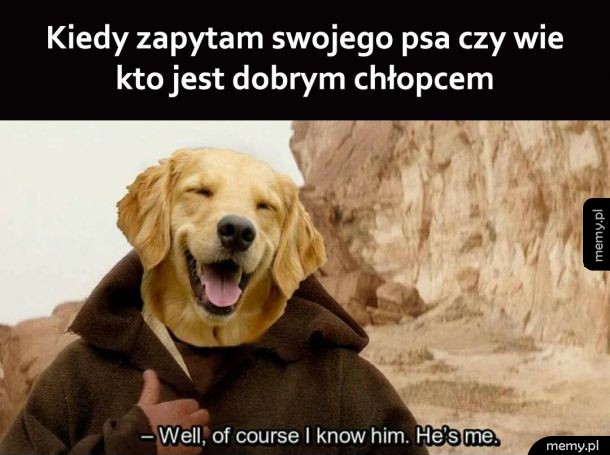 Dobry piesek