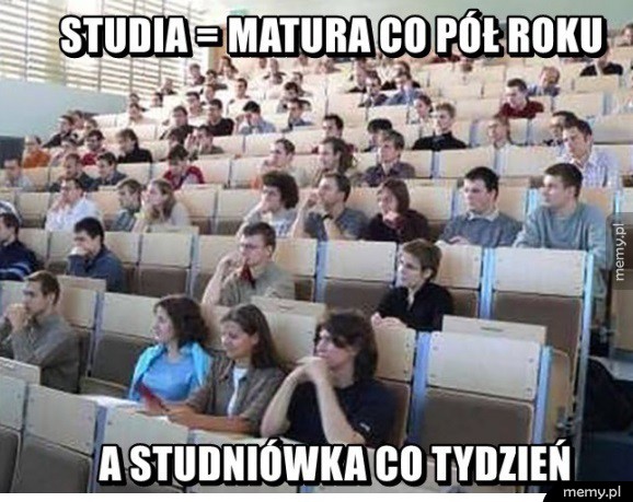 Studia