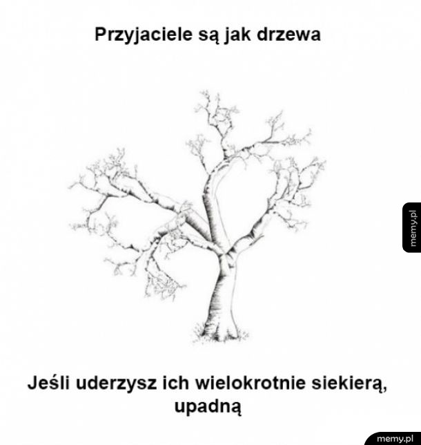 Przyjaciele
